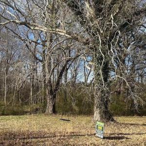 Photo #3 of 3725 Cornland Road, Chesapeake, Virginia 4.9 acres