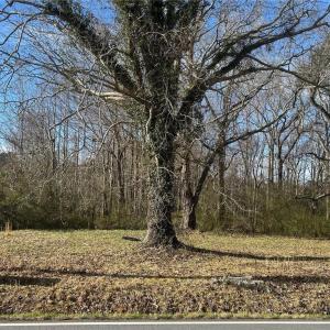 Photo #5 of 3725 Cornland Road, Chesapeake, Virginia 4.9 acres