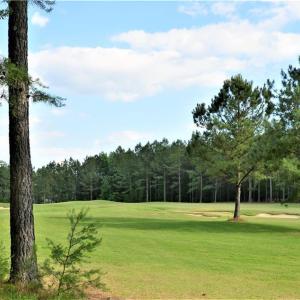 Photo #33 of 5420 Brickshire Drive, Providence Forge, Virginia 0.5 acres