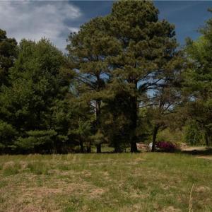 Photo #12 of 2048 Twiggs Ferry Road, Hartfield, Virginia