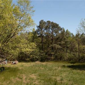 Yard Area