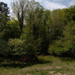 Photo #21 of 2048 Twiggs Ferry Road, Hartfield, Virginia