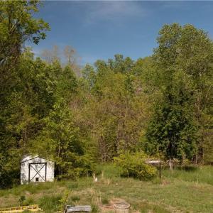 Yard Area