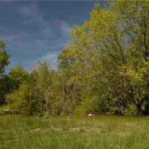 Photo #20 of 2048 Twiggs Ferry Road, Hartfield, Virginia