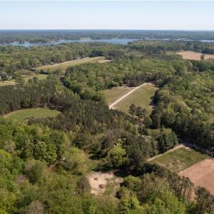 4.27 Acs With Cleared Homesite & Driveway!