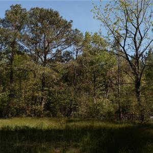 Photo #18 of 2048 Twiggs Ferry Road, Hartfield, Virginia