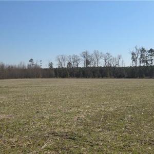 Photo #1 of 17+AC Taylorsville Road, Shacklefords, Virginia 17.5 acres