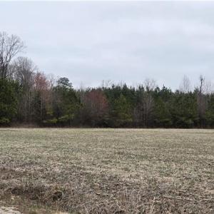 Photo #12 of 17+AC Taylorsville Road, Shacklefords, Virginia 17.5 acres
