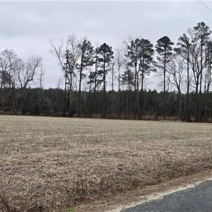 Photo #13 of 17+AC Taylorsville Road, Shacklefords, Virginia 17.5 acres