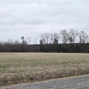Photo #16 of 17+AC Taylorsville Road, Shacklefords, Virginia 17.5 acres