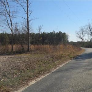 Photo #17 of 17+AC Taylorsville Road, Shacklefords, Virginia 17.5 acres