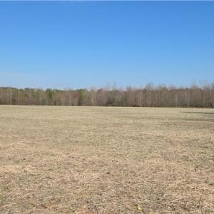Photo #3 of 17+AC Taylorsville Road, Shacklefords, Virginia 17.5 acres