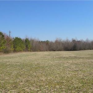 Photo #4 of 17+AC Taylorsville Road, Shacklefords, Virginia 17.5 acres