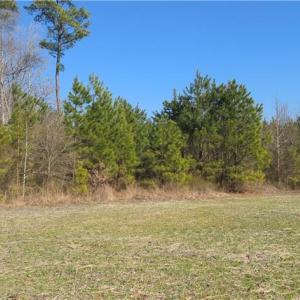 Photo #5 of 17+AC Taylorsville Road, Shacklefords, Virginia 17.5 acres