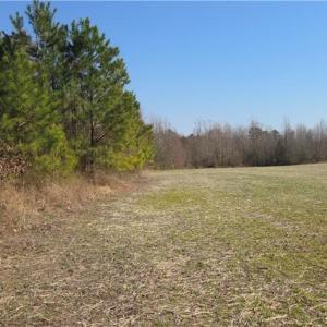 Photo #6 of 17+AC Taylorsville Road, Shacklefords, Virginia 17.5 acres