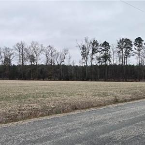 Photo #11 of 17+AC Taylorsville Road, Shacklefords, Virginia 17.5 acres