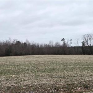 Photo #8 of 17+AC Taylorsville Road, Shacklefords, Virginia 17.5 acres