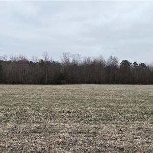 Photo #9 of 17+AC Taylorsville Road, Shacklefords, Virginia 17.5 acres