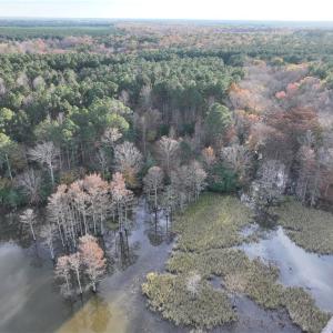 Photo #4 of 13400 Morris Creek Crescent, Charles City, Virginia 10.6 acres