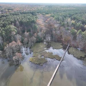 Photo #5 of 13400 Morris Creek Crescent, Charles City, Virginia 10.6 acres