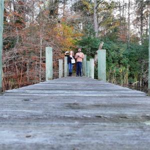 Photo #7 of 13400 Morris Creek Crescent, Charles City, Virginia 10.6 acres