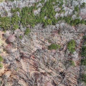 Photo #15 of 19.5AC Portsmouth Boulevard, Chesapeake, Virginia 19.5 acres
