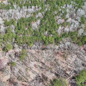 Photo #16 of 19.5AC Portsmouth Boulevard, Chesapeake, Virginia 19.5 acres