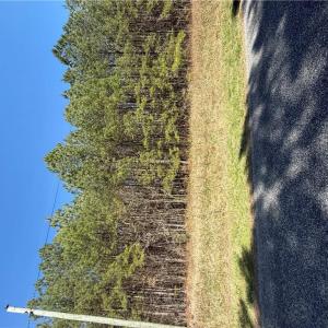 Photo #2 of 44AC Harrell Mill Rd Road, Wakefield, Virginia 44.0 acres