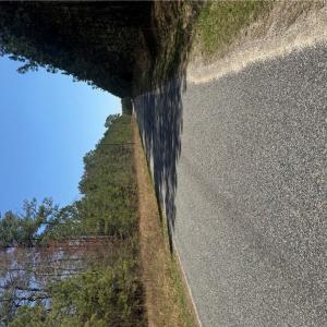 Photo #3 of 44AC Harrell Mill Rd Road, Wakefield, Virginia 44.0 acres