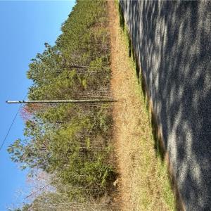 Photo #7 of 44AC Harrell Mill Rd Road, Wakefield, Virginia 44.0 acres
