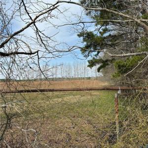 Photo #12 of 4381 Desert Road, Suffolk, Virginia 109.0 acres