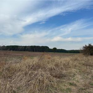 Photo #13 of 4381 Desert Road, Suffolk, Virginia 109.0 acres
