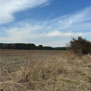 Photo #4 of 4381 Desert Road, Suffolk, Virginia 109.0 acres