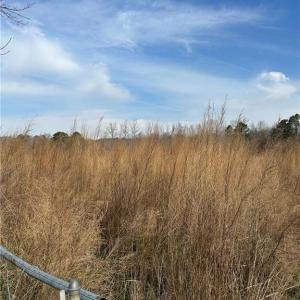 Photo #7 of 4381 Desert Road, Suffolk, Virginia 109.0 acres