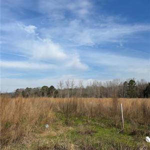 Photo #9 of 4381 Desert Road, Suffolk, Virginia 109.0 acres
