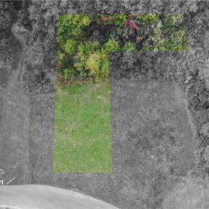 Photo #2 of 2651 Barre Street, Norfolk, Virginia