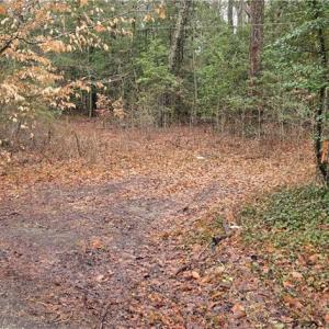 Driveway with road frontage