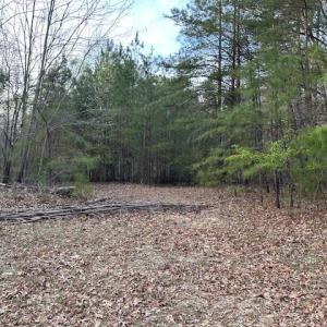 Photo #2 of 9789 Honey Tree Court, Gloucester, Virginia 8.1 acres