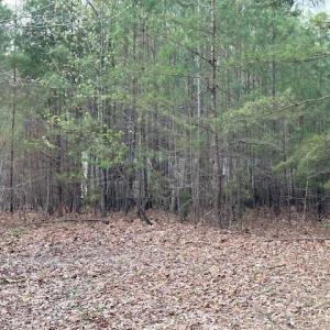 Photo #3 of 9789 Honey Tree Court, Gloucester, Virginia 8.1 acres