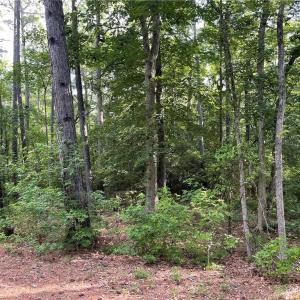 Photo #1 of 1.9ac Two Rivers Trail, Lanexa, Virginia 1.9 acres