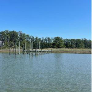 Photo #14 of 408 York Point Road, Seaford, Virginia 2.6 acres