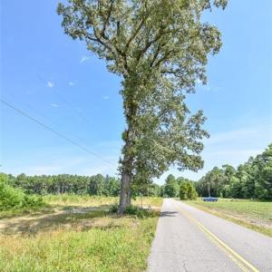 Photo #14 of 25+AC Courthouse Road, Waverly, Virginia 25.4 acres