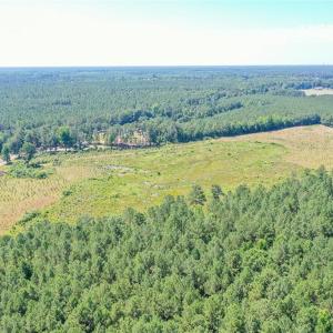 Photo #5 of 25+AC Courthouse Road, Waverly, Virginia 25.4 acres