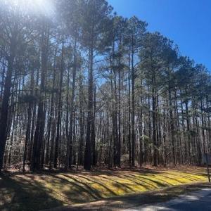 Photo #1 of Lot 39 Steamboat La Betz Landing Lane, Heathsville, Virginia 2.3 acres