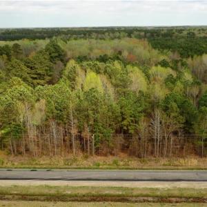 Photo #12 of Lot 2 Shillelagh Road, Chesapeake, Virginia 14.9 acres