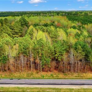 Photo #5 of Lot 2 Shillelagh Road, Chesapeake, Virginia 14.9 acres