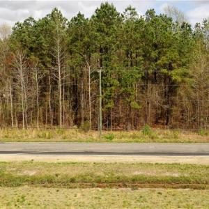Photo #9 of Lot 2 Shillelagh Road, Chesapeake, Virginia 14.9 acres
