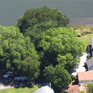 Photo #6 of 1513 Bradford Terrace, Portsmouth, Virginia