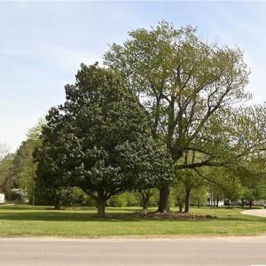 Photo #3 of 18440 New Kent Highway, Barhamsville, Virginia 1.0 acres