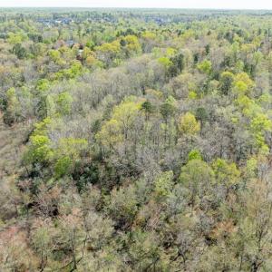 Photo #13 of 3352 Morning Mist Lane, Toano, Virginia 3.1 acres